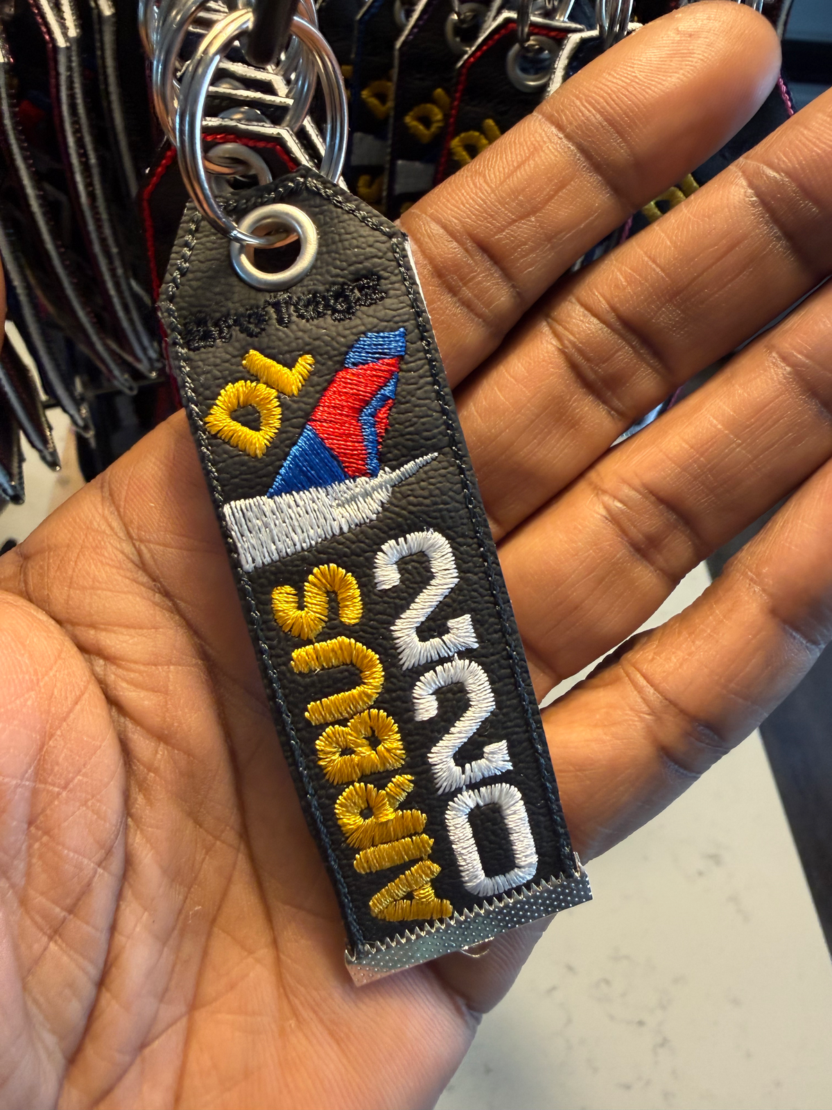 DL Themed Classic Keychain - A220 Airplane